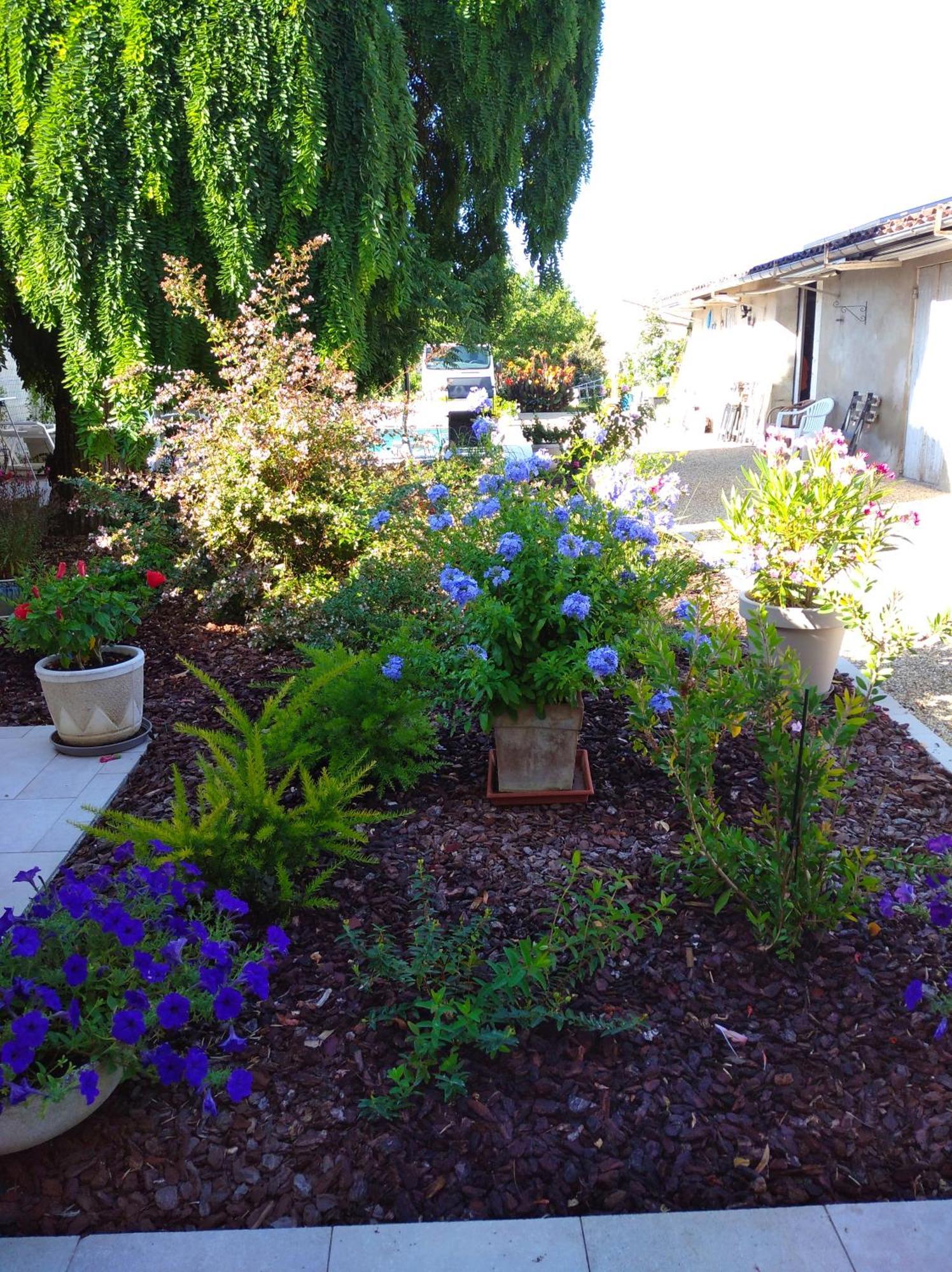 Bed and Breakfast L'Acacia Bergerac Esterno foto